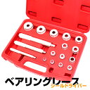 【最大500円OFFクーポン】ベアリングレース シールドライ...
