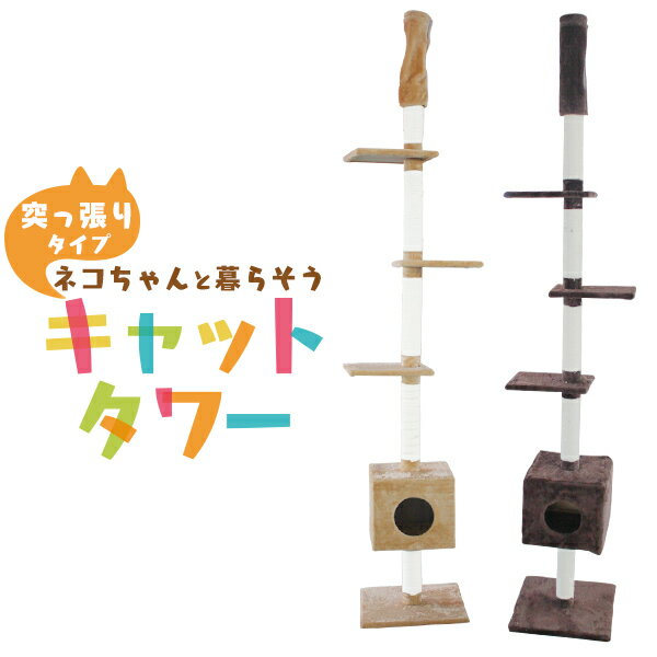 yヌr[10%OFFN[|zLbg^[ ˂ L ^[ ˂^[ S 240?260cm ˂^[ L^[ Lbgh Lbgt@j`[  mlR^[ ς莮  lR^[ ܂Ƃ L lC ߁n