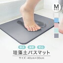 【送料無料】【エントリーで全品P3倍】珪藻土バスマット バスマット 珪藻土 マット 珪藻土マット Mサイズ 40cm 珪藻土 バスマット 足拭きマット 足ふきマット お風呂マット 吸水 速乾 おしゃれ かわいい バス用品