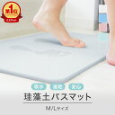 【最大700円OFFクーポン】≪楽天ランキング入賞≫【2017春モデル】珪藻土バスマット 60cm 珪藻土 バスマット Lサイズ 珪藻土マット お風呂マット 足ふきマット 足拭きマット お風呂 足ふき マット 吸水 速乾 バス用品 送料無料