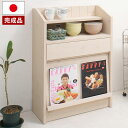 カウンター下 ディスプレイ収納キャビネット 幅60.5cm NO-0019【送料無料】【smtb-tk】