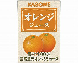 オレンジジュース　業務用 / 8641　100mL【定番在庫】即日・翌日配送可