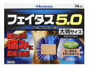 【第2類医薬品】久光製薬 フェイタス5.0 大判サイズ (14枚入) 【セルフメディケーション税制対象商品】 ウェルネス