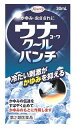 【第2類医薬品】興和新薬 ウナコーワクールパンチ