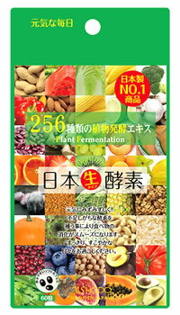 愛粧堂　日本生酵素　256　(60粒)　256種類の植物発酵エキス　ウェルネス