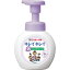 ライオン キレイキレイ 薬用泡ハンドソープ フローラルソープの香り ポンプ 本体 (250ml) ウェルネス