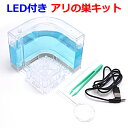LED付き アリの巣観察キット アリ城 アリ観察セット アリ飼育セット 自然 生物 アリさん丸ごと観察セット【即日発送】【即日発送】