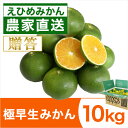 極早生みかん10kg