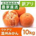 ワケアリ温州みかん10kg | 温州みかん みかん ミカン ...
