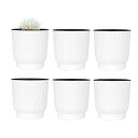 T4U 10CM プラスチック製 自己給水 プランター 植木鉢 ポット現代風装飾 家庭植物/多肉/花植物/ハーブ/サボテン 適用 ホワイト 6点セット Small