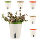 T4U プラスチック 底面給水鉢 自動給水 植木鉢 観葉植物適用 丸型 直径17cm 6点セット 直径:17CM