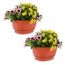T4U 22cm プラスチック 壁掛け鉢 植木鉢 プランター ハンギング鉢 観葉植物適用 受け皿付き レッド 2点入り L:幅広さ22cm