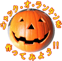 米国産 ハロウィン用かぼちゃ Lサイズ1玉