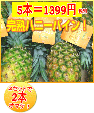 お待ちいただくこともございます。完熟ハニーパイン5本入り/フィリピン産10P01Mar15...:wf-cartgift:10000084