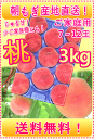 今季最終品種【さくら白桃】をお届けします...