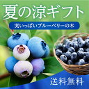 お中元・お祝い・誕生日プレゼントなどに ブルーベリー 成木 系7号 実付き【送料無料 鉢植え 夏のギフト お中元ギフト 贈り物 鉢 記念日 退職祝い プレゼント 母 祖母 父 お中元ギフト 御中元 果樹鉢 果樹木 果樹】