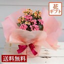 花 ギフト 送料無料 カランコエ 2色植え 鉢花ギ