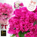 【クーポンでお得】【母の日 プレゼント 鉢植え ギフト】ブー...