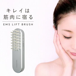 【マラソン限定 大特価】 SALONIA サロニア EMSリフトブラシ EMSブラシ EMS レベル調整 リフトブラシ EMS美顔器 美顔器 <strong>リフトアップ</strong> ハリ美容デンキブラシ 電気ブラシ デンキブラシ スキンケア ボディケア ヘアケア 頭皮 顔 フェイスライン ラッピング