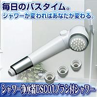 【その他B】【アイディアバス・トイレ】シャワー浄水器　DS001ブラシ付シャワー【0603superP10】