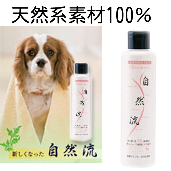 ȯ䤫20ǯޤѤޤ2åȥպ׳Υåȡסۼήǭȥ꡼ȥȡ2l