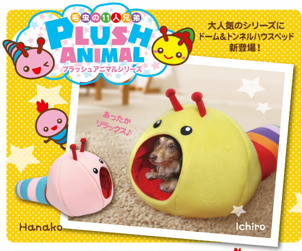 限定数【通販ペット用品】＜犬用ハウス＞けむしのおもちゃ　プラッシュアニマルモデル　イチロードーム【0603superP10】