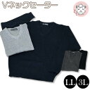 セーター メンズ Vネック 大きいサイズ LL 3L ニット ビジネス 制服 洗える ウォッシャブル 男性 スクール フォーマル HOT オフィス 紳士 防寒 あったか アクリル混 女性 婦人 レディース