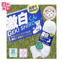 【送料無料】スクールソックス 激白くん ショート ソックス ...