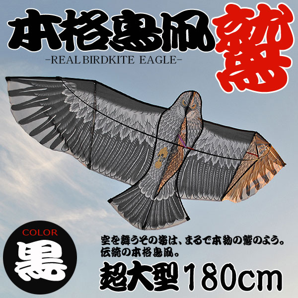 ڥСɥȥ񤤾夲褦Ķ緿180cmĻɡ٥֥å