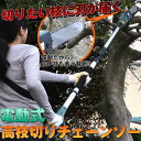 電動高枝切りチェーンソー(ET1208)