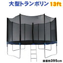 【送料無料・代引き不可】大型トランポリン10ft(BX10F...