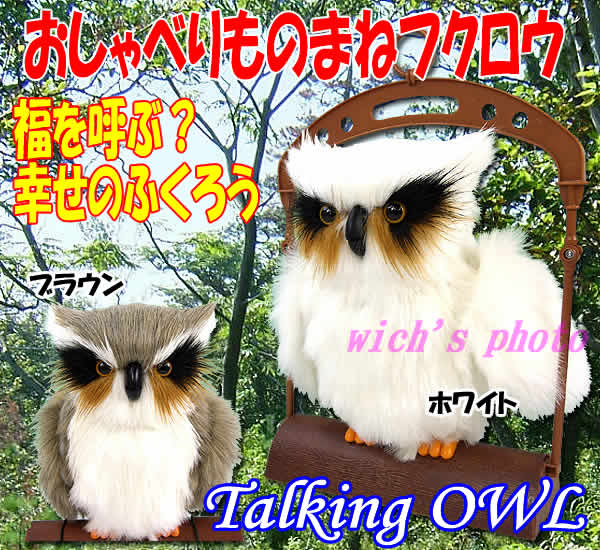 Talking OWL(福を呼ぶ？幸せのおしゃべりふくろう）話しかけると羽根を動かしてオウム返しします♪