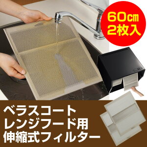 ベラスコートレンジフード用伸縮式フィルター60cmタイプ2枚入【カタログ掲載1306】