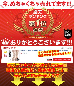 ひざ極らーく2枚組【新聞掲載】膝サポーター介護サポート膝膝痛【暮らしの幸便】矯正補助関節痛人気サポート足腰伸縮プロ考案膝の痛み人気楽ウォーキングプレゼント安全安心軽減軽量介護介護用品シニア強力健康グッズ洗濯簡単かんたん装着