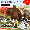 【送料無料】【メーカー直送】YARD FORCE 高枝切り電動チェーンソー3プラス【新聞掲載】 高枝切り 電動 チェーンソー 太枝 バッサリ らくらく切断 高いところ 287cm オレゴン社製 刃 誤作動防止 丸太 25cm メンテナンス チェーン刃調節 ダイヤル式 通販ライフ