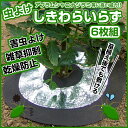 虫よけしきわらいらず6枚組【カタログ掲載中】苗 畑 菜園 害...