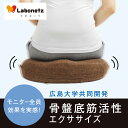 【送料無料】ラボネッツ 骨盤底筋エクササイズクッシ