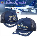 自衛隊 グッズ ブルーインパルス 航空自衛隊 ブルーインパルス メッシュキャップ 【暮らしの幸便 新聞掲載 71968-1 71968-2】 航空自衛隊 ブルーインパルスキャップ 50周年記念 アニバーサリーモデル 帽子 キャップ グッズ T-2 T-4 F-86F ぼうし 敬老の日 ギフト プレゼント