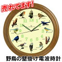時計 壁掛け 鳥 野鳥の壁掛け電波時計 【暮らしの幸便 新聞掲載 73013-1】 野鳥の壁掛け電波時計 掛け時計 電波時計 電波 電波時計 壁掛け 電波掛け時計 おしゃれ 壁掛け時計 鳥 野鳥 ギフト プレゼント でんぱどけい