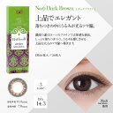 【メール便可】【度あり1DAYカラコン】BeeHeartB ビーハートビー ダークブラウン(06)10枚入【RCP】 apap8 02P03Dec16