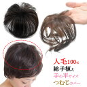 ウィッグ 人毛 ヘアピース トップ 人毛100% 部分ウィッ...