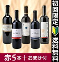 実力派赤ワインお試し5本セット おまけ付き[Ver.9]　ワインセット [WS]750ml×5本の初回限定お試しセット！