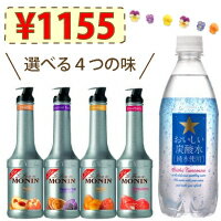 【クーポン利用＆5000円以上購入で5％OFF！(8/15まで)】△【果肉入り濃厚シロップと炭酸のセット♪】△MONIN(モナン) フルーツピューレミックス500ml×1本+おいしい炭酸水500ml×1本