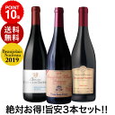 ★送料無料 格上ヌーヴォー入りでこの価格♪ ボジョレー ヌー...