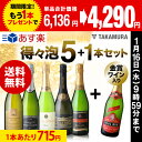 送料無料 第14弾 ★プラス1★ 辛口スパークリングワイン 気軽に楽しめる 得々泡 5本+1