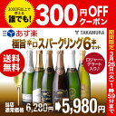 送料無料 第39弾 辛口スパークリングワイン 6本 セット ...