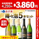送料無料 第14弾 辛口スパークリングワイン 気軽に楽しめる...