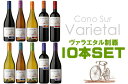 送料無料・コノスル・ヴァラエタル制覇・10本ワインセット【飲み比べS リストつきS 送料無料S】【2sp_120810_green】