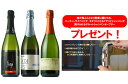 3月22日入荷・●4● 第3弾・簡単シャンパンオープナー・プレゼント付き！お勧めカバ！3本ワインセット