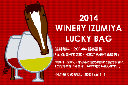 送料無料・2014年・新春福袋・5250円で2本・4本から選べる福袋ワインセット